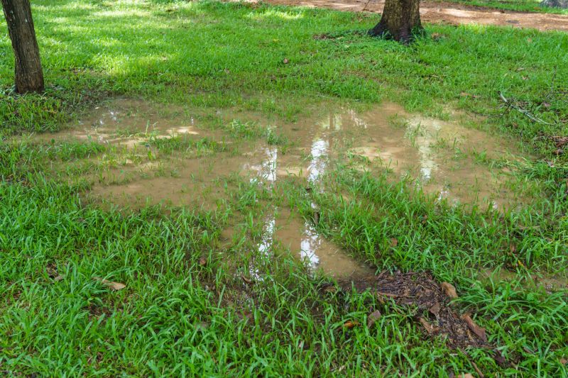 yard drainage